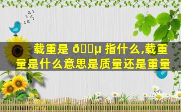 载重是 🐵 指什么,载重量是什么意思是质量还是重量